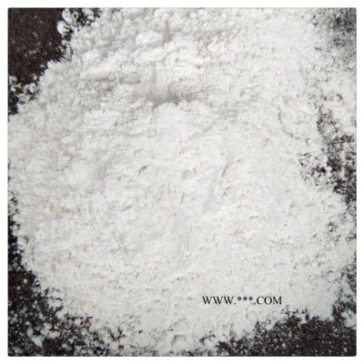 辰洋供應(yīng)鈣粉 重質(zhì)碳酸鈣 輕質(zhì)碳酸鈣批發(fā) 量大優(yōu)惠