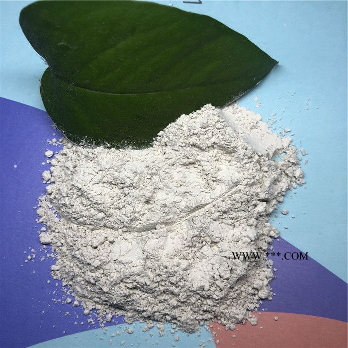 桓禾供應(yīng) 重鈣粉200目 重質(zhì)碳酸鈣粉