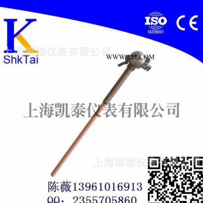 B型耐高溫熱電偶/B鉑銠熱電偶/剛玉熱電偶WRR-130/1