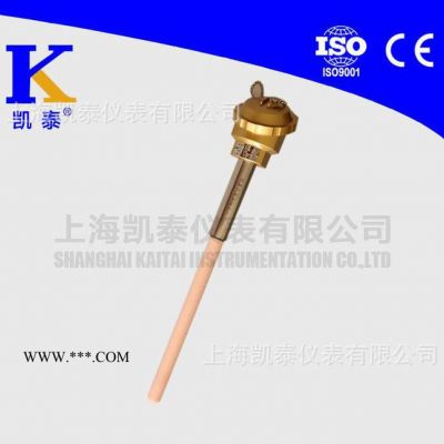 WRP-131 S分度鉑銠熱電偶 雙層剛玉質鍋爐用溫度熱電偶