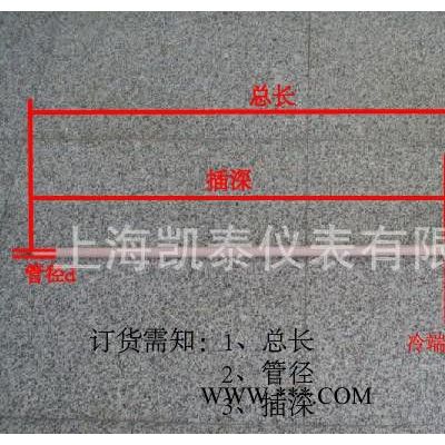 WRN-122 16*350*300 剛玉套管熱電偶