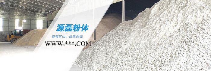廣東源磊粉體石粉廠.專業(yè)**食品級(jí)輕質(zhì)碳酸鈣 1250目超細(xì)超白 食用碳酸鈣大量批發(fā) 透明粉(粉末、涂料專用)