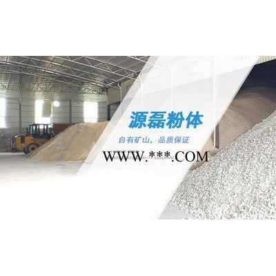 廣東源磊粉體石粉廠.專業(yè)**食品級(jí)輕質(zhì)碳酸鈣 1250目超細(xì)超白 食用碳酸鈣大量批發(fā) 透明粉(粉末、涂料專用)