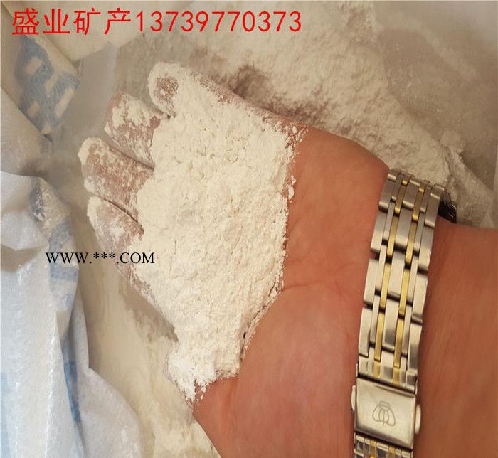 盛業(yè) 高規(guī)格 重質(zhì)碳酸鈣 輕鈣