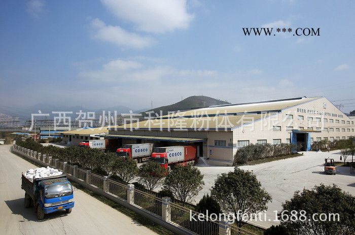 直銷超細(xì)1250目重質(zhì)碳酸鈣（涂料級） 重鈣1250目