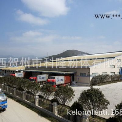 直銷超細(xì)1250目重質(zhì)碳酸鈣（涂料級） 重鈣1250目