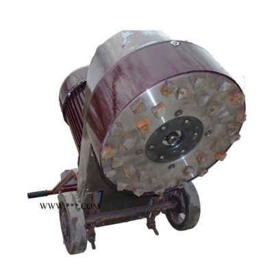 鑫煤DMS250金剛石水磨石機 混凝土地面水磨石機現(xiàn)貨 多功能地面打磨機