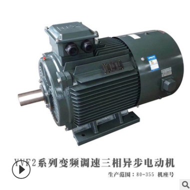 廠家直供三相異步電動(dòng)機(jī)馬達(dá)YVF2160L-2 18.5KW高效電機(jī)全銅國(guó)標(biāo)