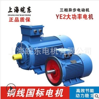 生產(chǎn)各種電機(jī)三相異步電動(dòng)機(jī)馬達(dá)Y,YE2,YE3,YCT,YX3,YVP YEJ 4P極