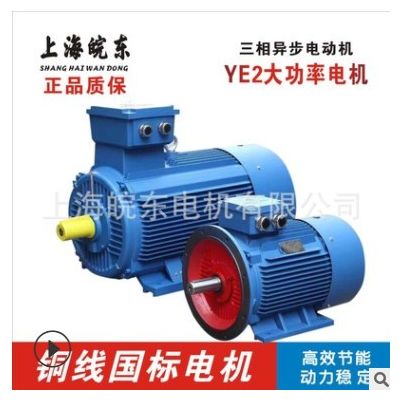 生產(chǎn)各種電機(jī)三相異步電動(dòng)機(jī)馬達(dá)Y,YE2,YE3,YCT,YX3,YVP YEJ 4P極