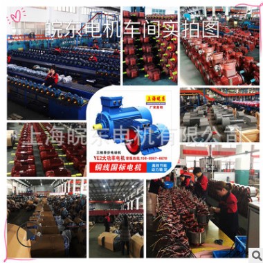 廠家直供11KW三相異步電動(dòng)機(jī)YE2-160M1-2-11KW三相電機(jī)