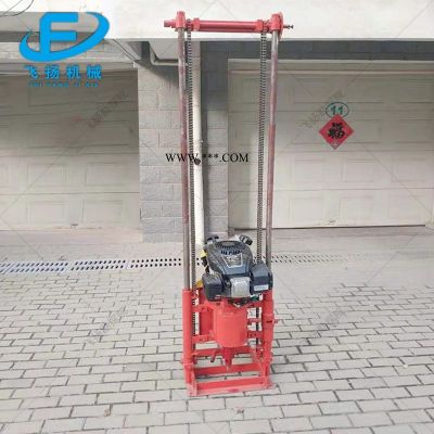 FY-30S立式輕便取樣鉆機(jī) 汽油動力輕便巖石取芯鉆機(jī)