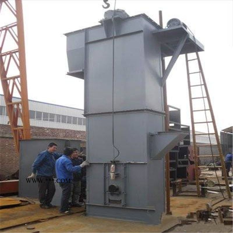 澤成供應(yīng)NE50型斗式提升機可加工定制