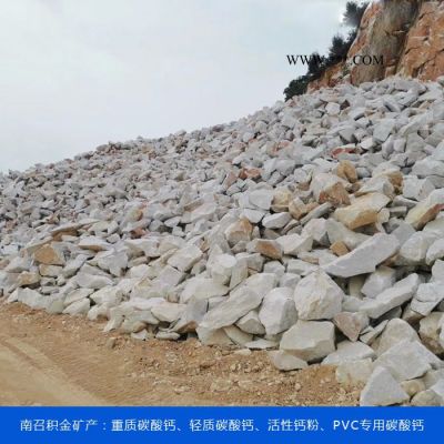 改性重質(zhì)碳酸鈣廠家-積金礦產(chǎn)歡迎你-濰坊重質(zhì)碳酸鈣廠家