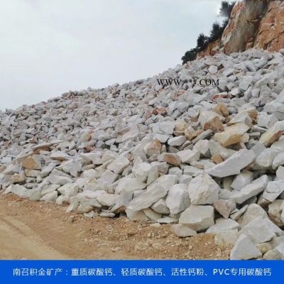 工業(yè)碳酸鈣批發(fā)-碳酸鈣批發(fā)-可電話咨詢積金礦產(chǎn)