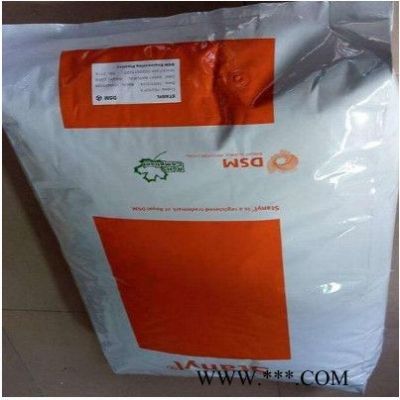 PA46荷蘭TW241F6聚酰胺PA46