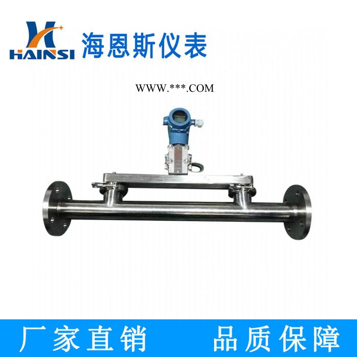 海恩斯 上海濃縮液音叉密度計現(xiàn)貨供應(yīng) 在線密度計生產(chǎn)銷售