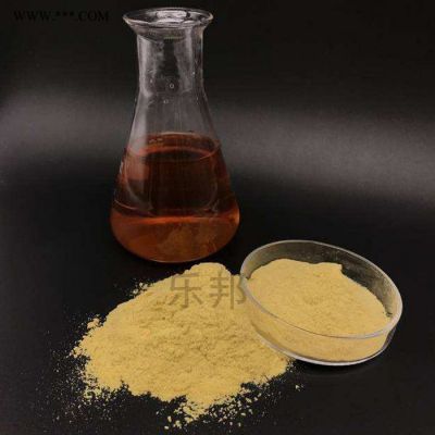 水處理藥劑 污水處理脫色劑除磷劑 樂邦環(huán)保精選廠家